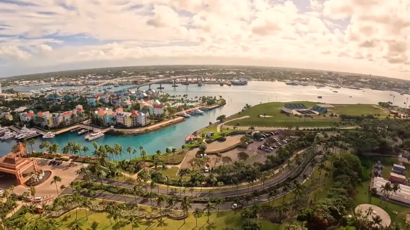 Lush green garden pathway with trees and palm trees at Baha Mar resort