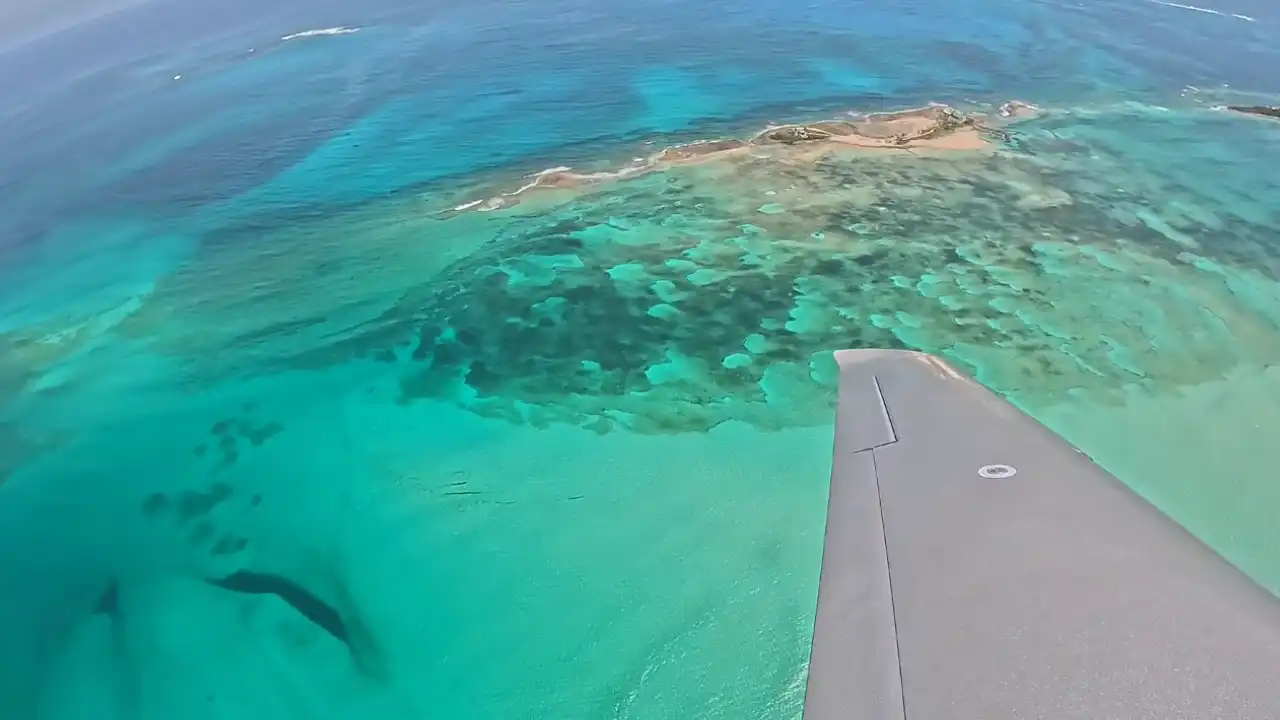 Can I Fly to the Bahamas: Everything You Need to Know