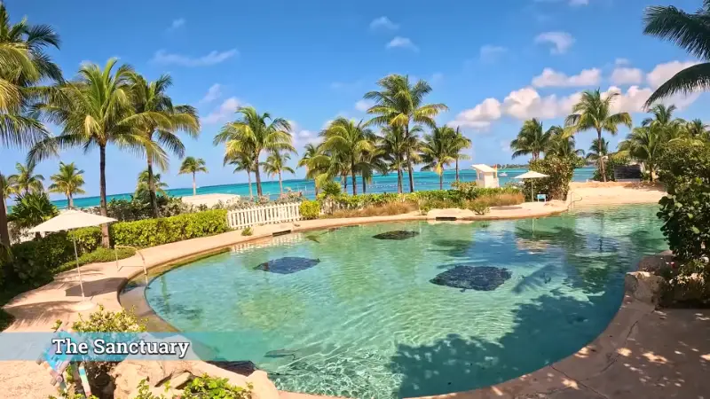 Serene resort pool called 'The Sanctuary' surrounded by palm trees and lush greenery