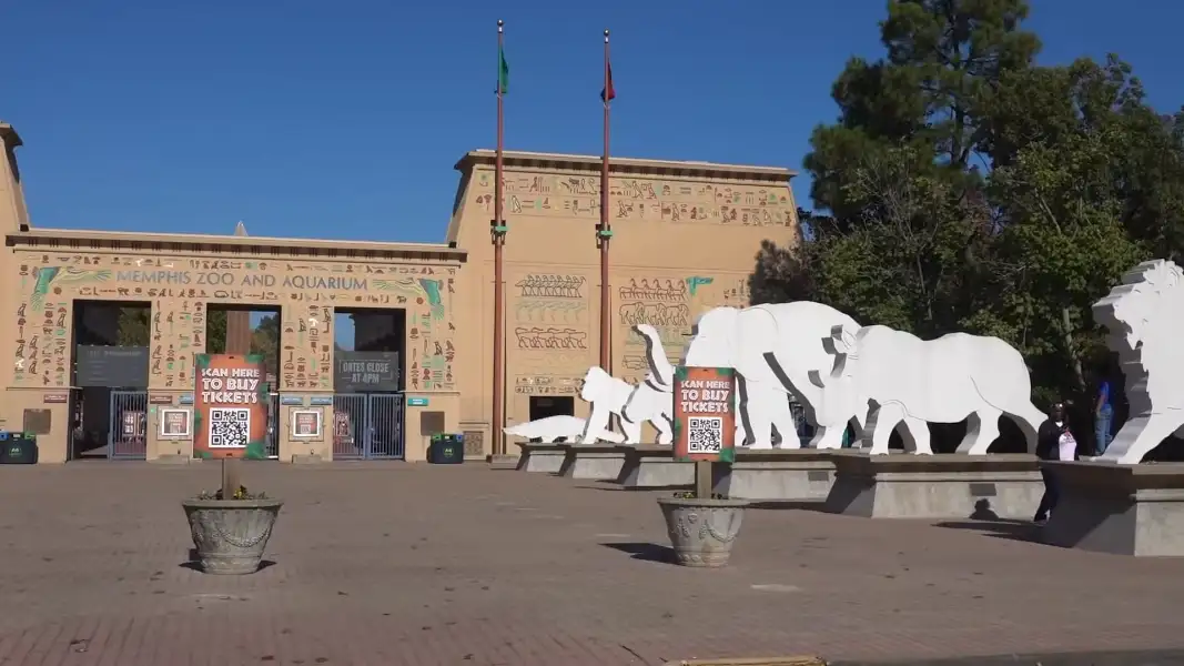 Zoo Memphis